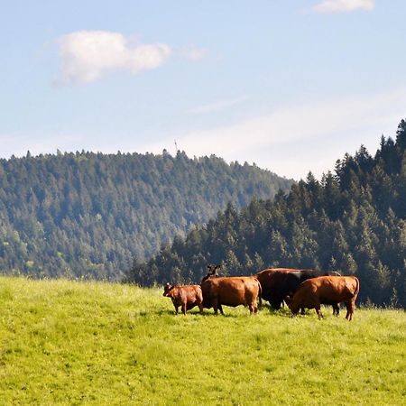 Pension Vogtsmichelhof - Leibgeding Alpirsbach Esterno foto