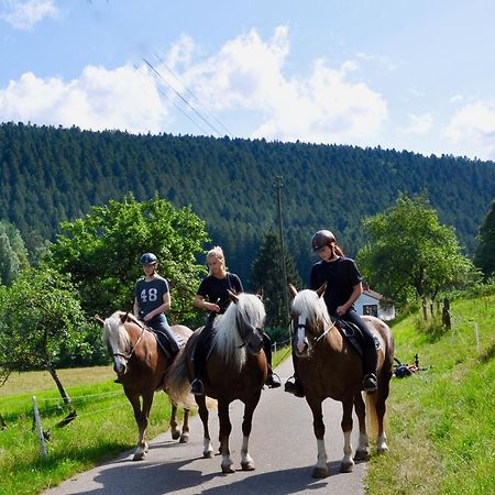 Pension Vogtsmichelhof - Leibgeding Alpirsbach Esterno foto