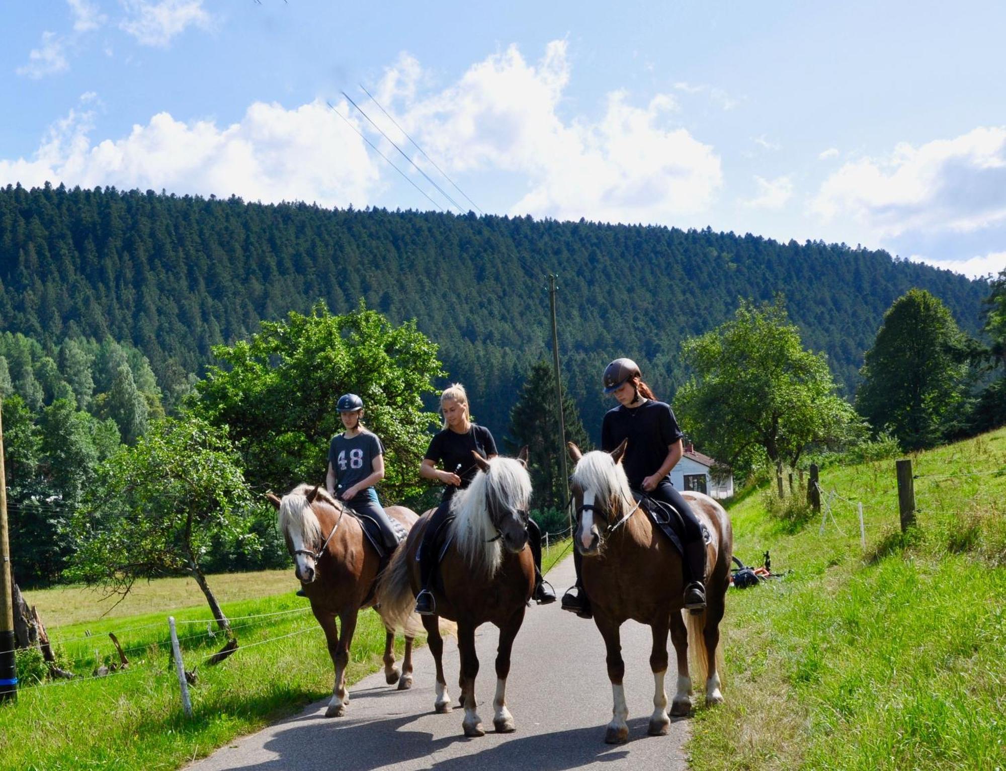 Pension Vogtsmichelhof - Leibgeding Alpirsbach Esterno foto